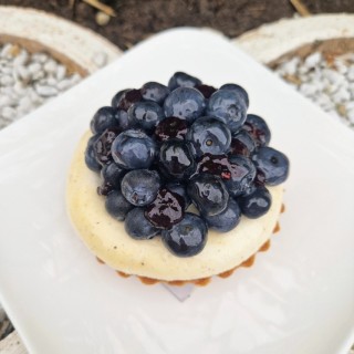 Tartelette myrtilles